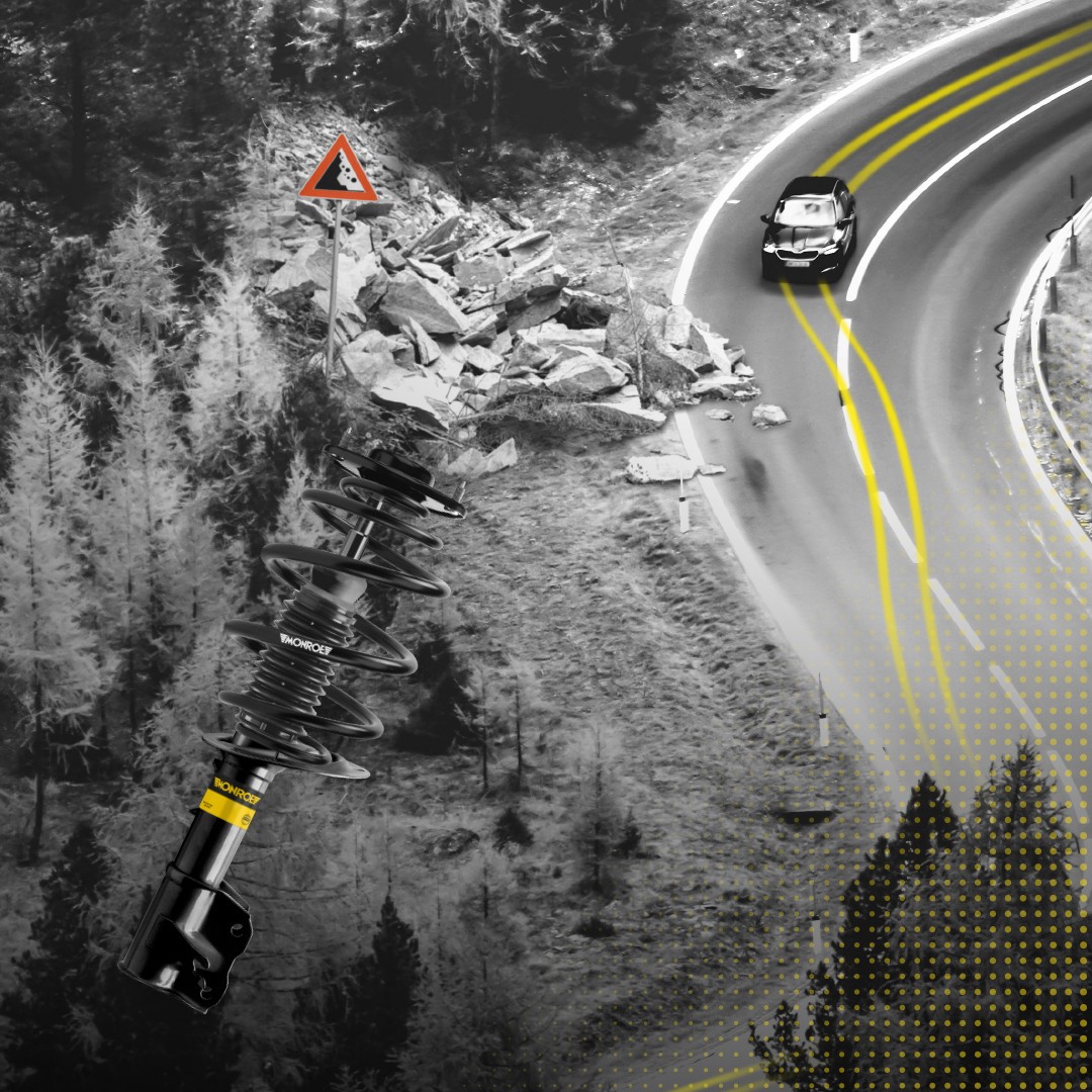 MNSAF2403_image_3-B-1080x1080