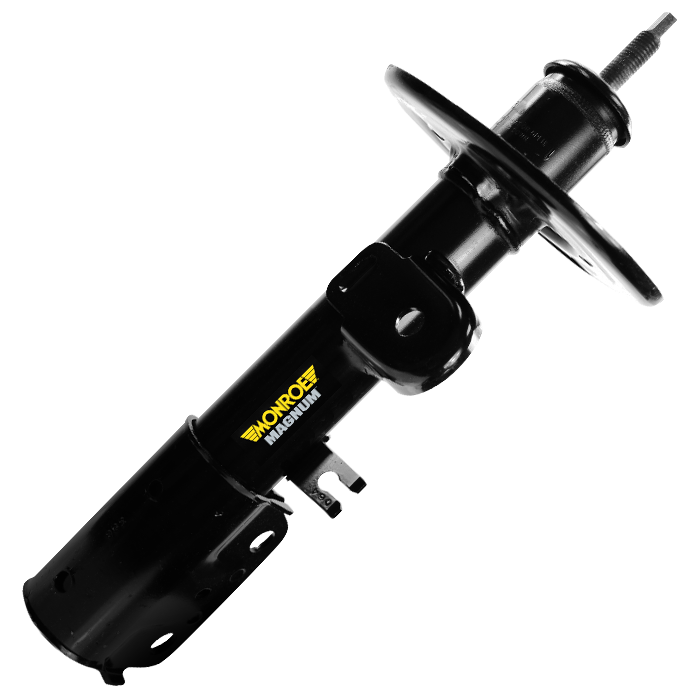 Severe Service Magnum Strut